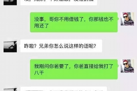 苍南企业清欠服务